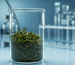 Phytochemical Monomer Extract
