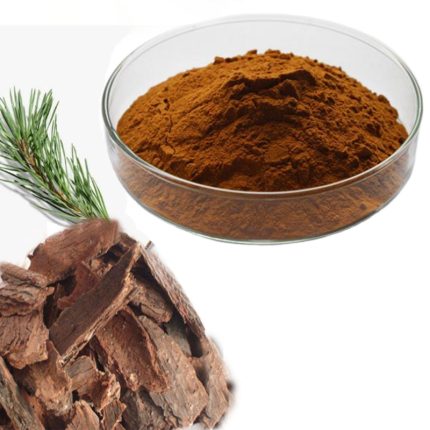 Pinus Pinaster Extract