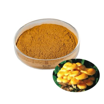 Pleurotus Citrinopileatus Extract