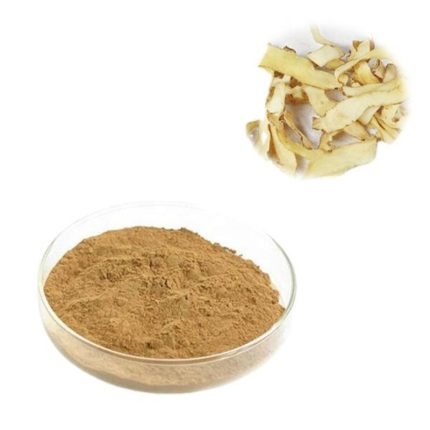 Polygonatum Extract