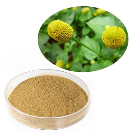 Spilanthes Acmella Extract