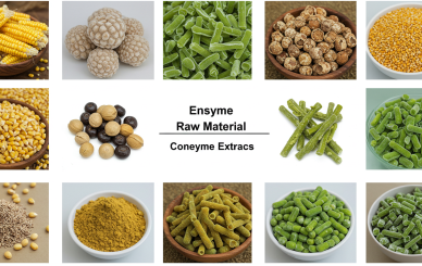 enzyme raw material supplier