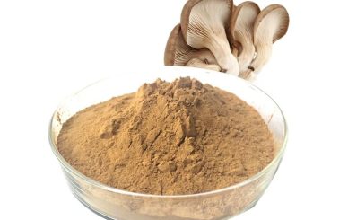 Medicinal Mushroom Extract