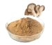 Medicinal Mushroom Extract