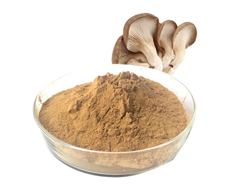 Medicinal Mushroom Extract