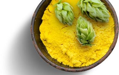 Xanthohumol Antioxidant Effects