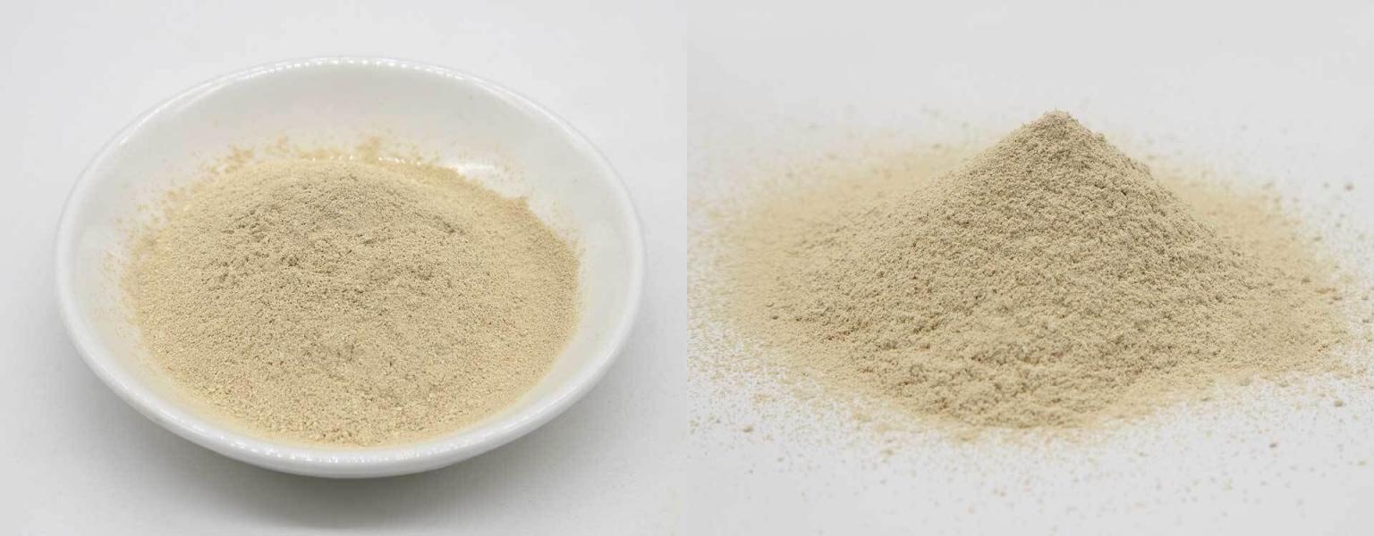 Pharmaceutical Enzyme Supplier