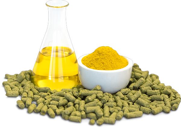 Xanthohumol Natural Source