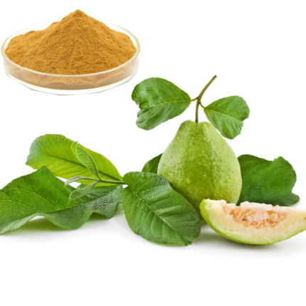 Guava Leaf Extract