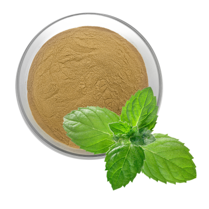 Peppermint Extract