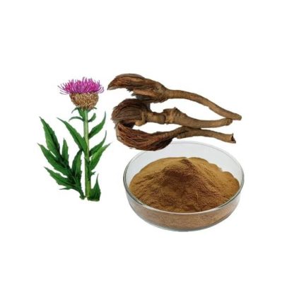 Rhapoticum Carthamoides Extract