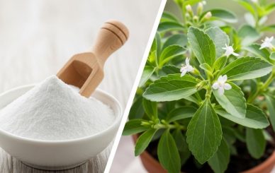Stevia Extract Benefits