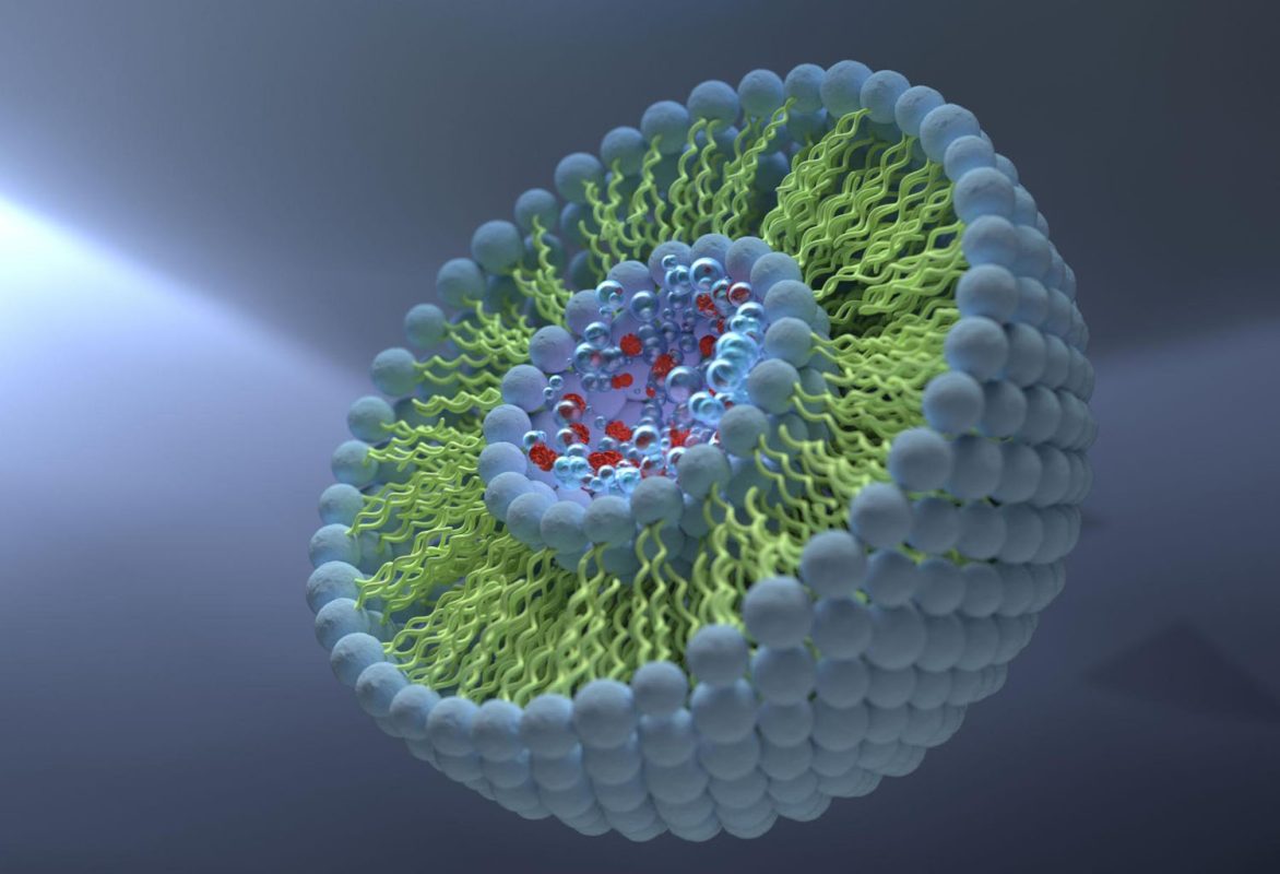 Top 10 Liposomal NAD Manufacturers