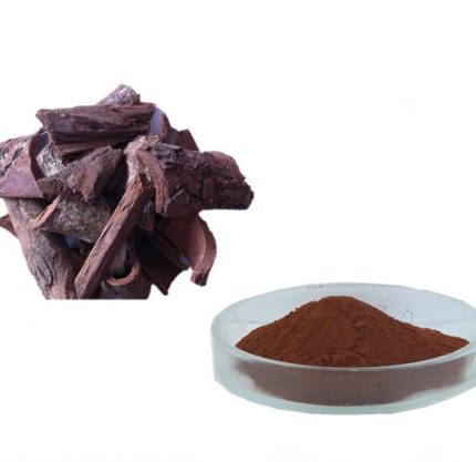 Pygeum Africanum Bark Extract
