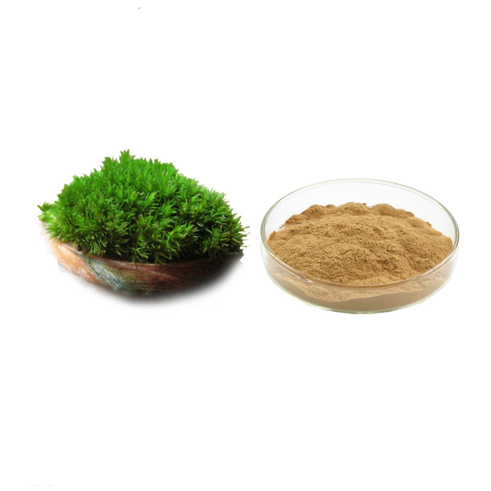 Iceland Moss Extract 爱尔兰苔藓提取物 图片 Iceland Moss Extract