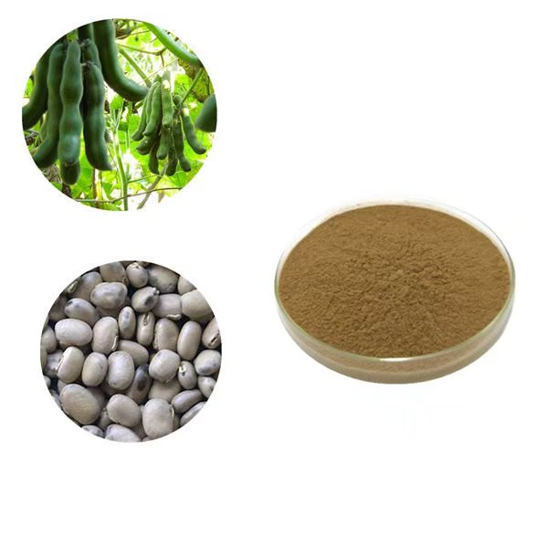 Mucuna Pruriens Extract 黧豆提取物 图片 Mucuna Pruriens Extract supplier