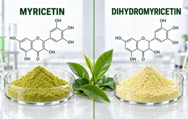 Myricetin Powder Supplier